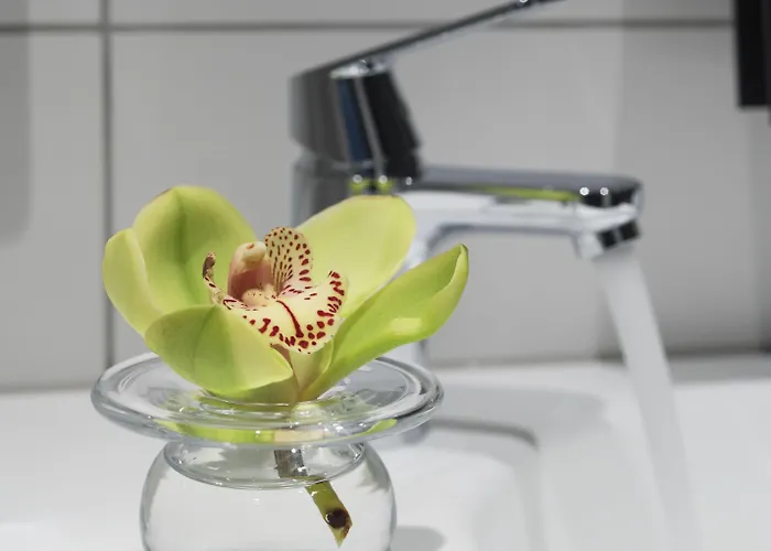 Thon Στάβανγκερ